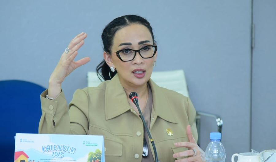 Integrasi Kebijakan Penting untuk Mengatur Ruang Udara secara Maksimal