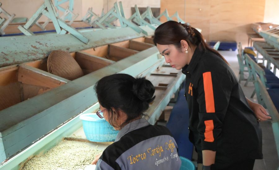 Eva Rataba Dukung Agrowisata Kopi Toraja