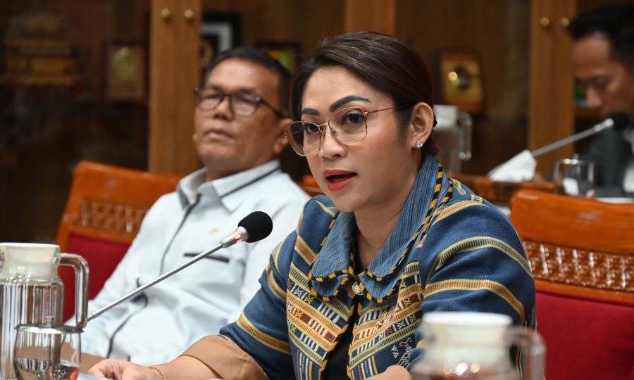 Eva Rataba Dorong Penyelenggaraan Literasi yang Adil dan Merata
