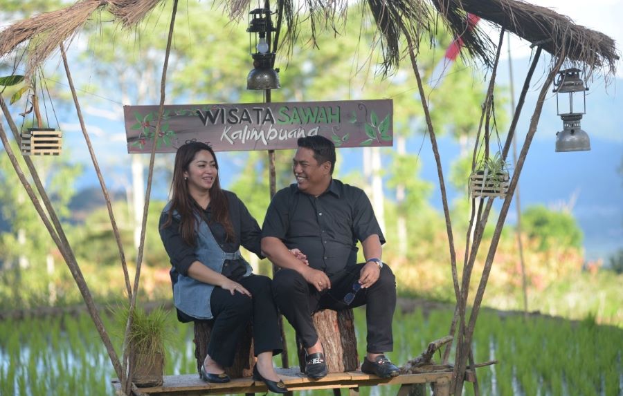Pesona Persawahan Jadi Alternatif Wisata Toraja Utara