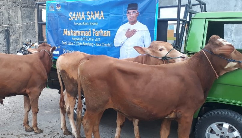 Idul Adha Momentum Perkuat Solidaritas, Keikhlasan Berkorban