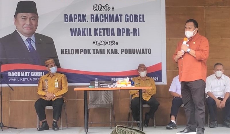 NasDem Minta Lindungi Petani Bawang Putih dari Serbuan Impor