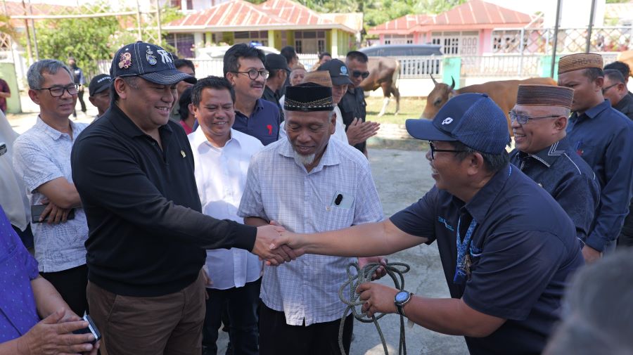Gobel Salurkan 50 Sapi Kurban untuk Warga Gorontalo