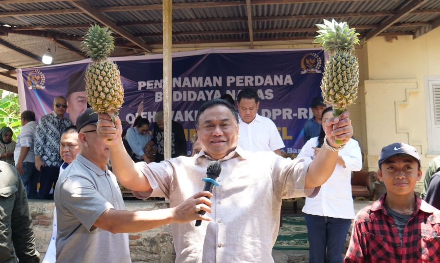 Gobel Canangkan Gerakan Tanam Nanas di Gorontalo