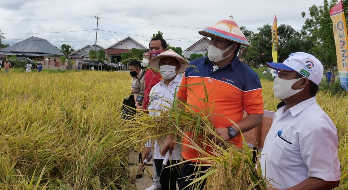 Program Gorontalo Lumbung Pangan kian Nyata