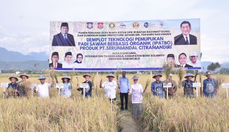 Gobel Panen Padi Pupuk Organik, Hasil Dua Kali Lipat
