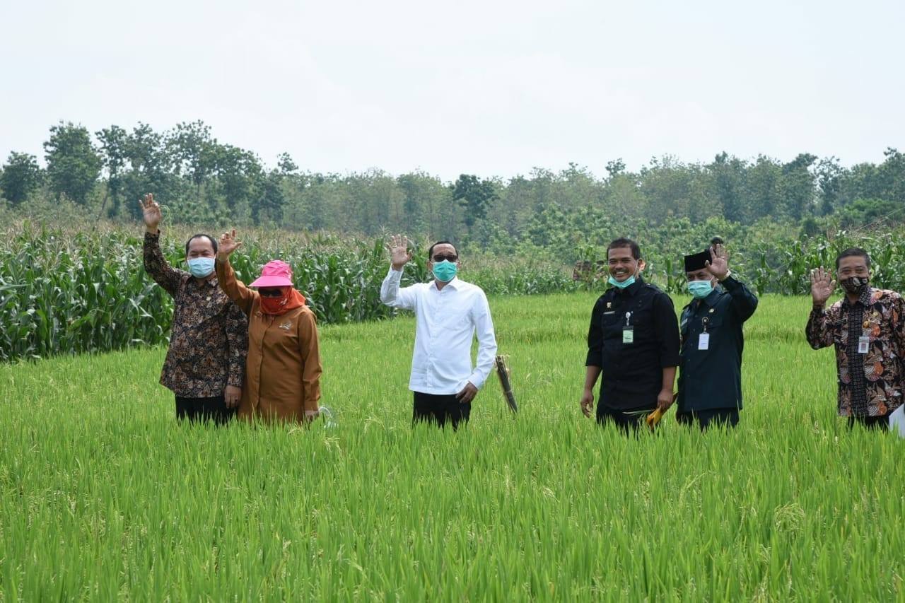 Komisi IV DPR Apresiasi Kontribusi Petani Pemalang Atasi Stunting
