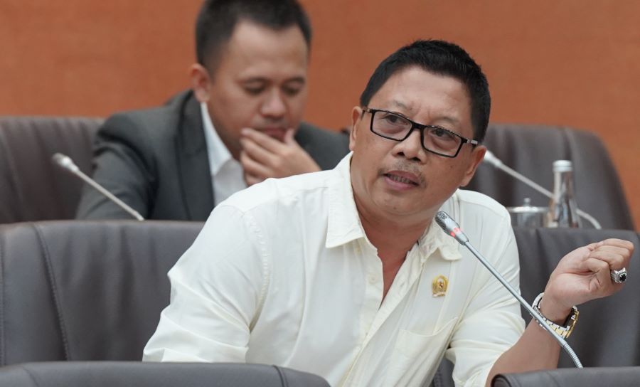 I Nengah Senantara Beri Catatan Khusus terhadap Koperasi Merah Putih