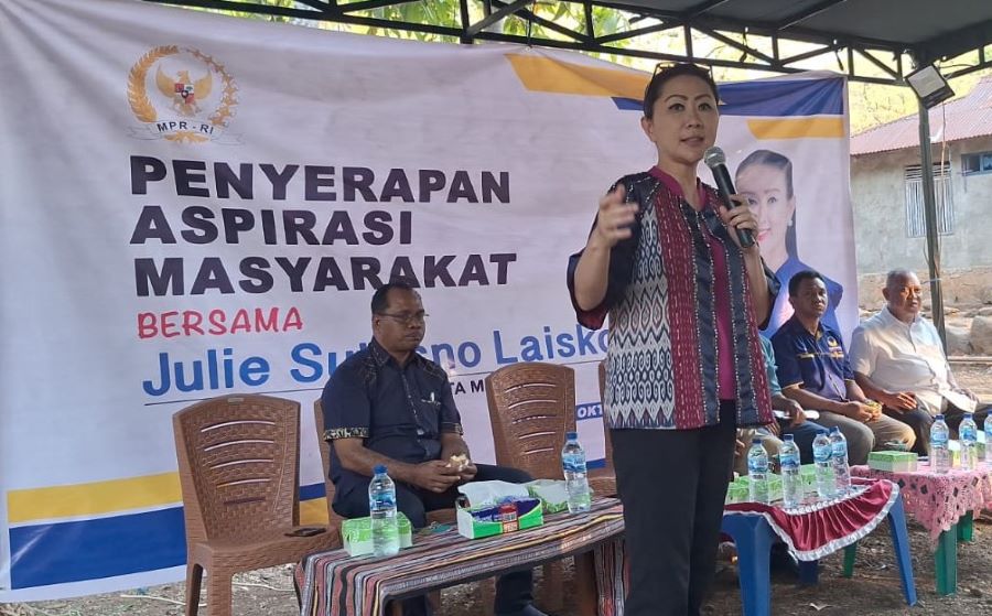 Diperlukan Komitmen untuk Kelola Potensi NTT