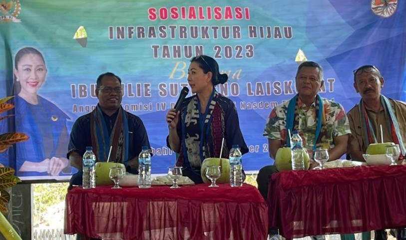 Julie Gelontorkan Bantuan untuk Jaga Mangrove di Pantai Mutiara Alor
