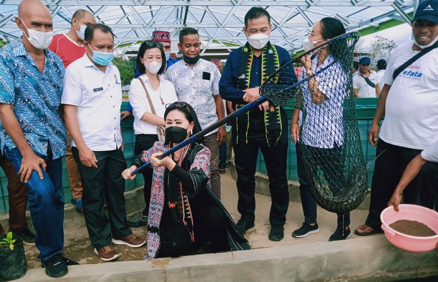 Julie Laiskodat Ajak Masyarakat NTT Tingkatkan Konsumsi Ikan Lele