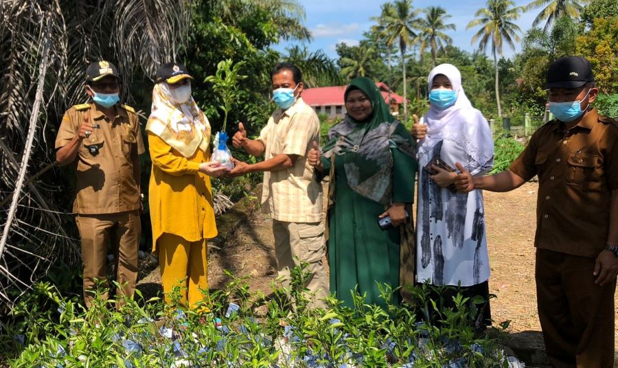 Lisda Serahkan Bibit Jeruk untuk Petani Pesel
