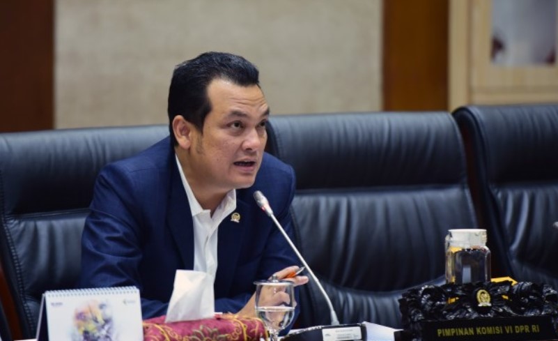 Komisi VI DPR Segera Cari Solusi Masalah Merpati