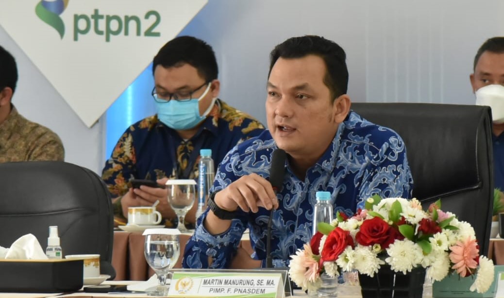 Hilirisasi Produk PTPN untuk Stabilisasi Harga