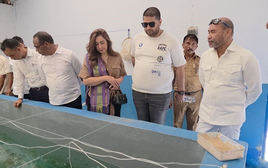 Legislator NasDem Minta KKP Perhatikan Balai Benih Ikan di Seluruh Indonesia
