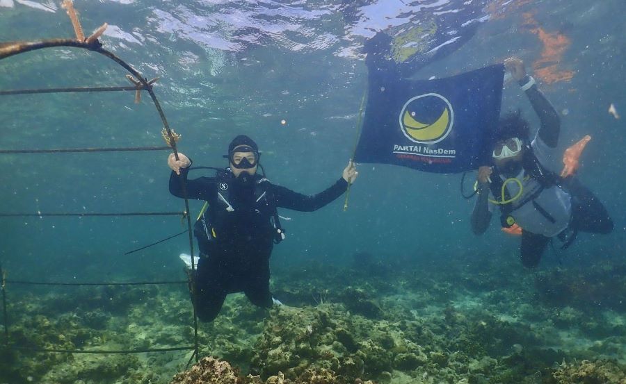 NasDem Gelar Restorasi Terumbu Karang di Karampuang Mamuju