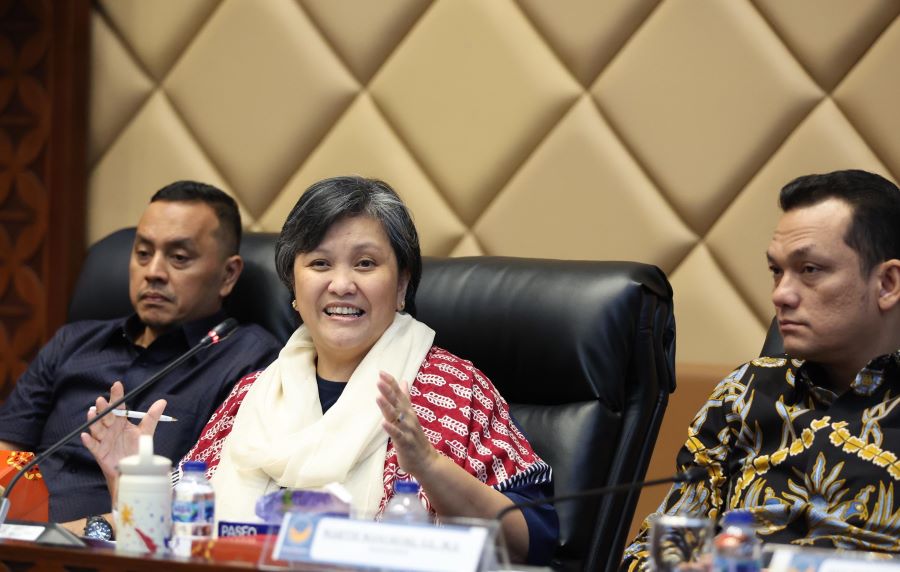 Perlu Gerak dan Pemahaman yang Sama untuk Wujudkan UU PPRT dan UU MHA