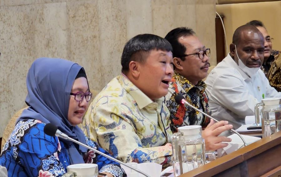 NasDem Dorong Papua Barat Daya Ikut Pilkada 2024