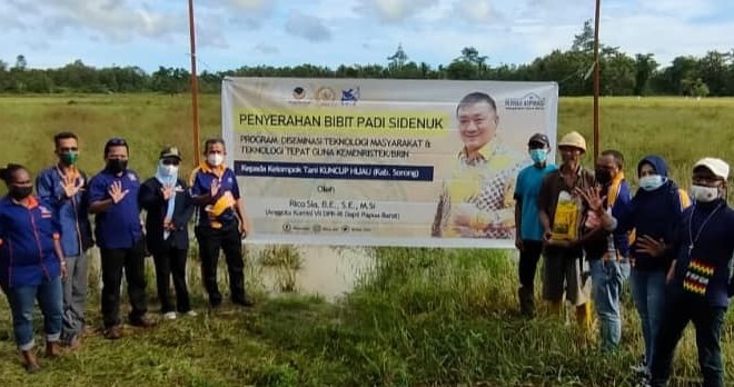 Rico Sia Sumbang 800 Kg Bibit Padi Varietas Baru