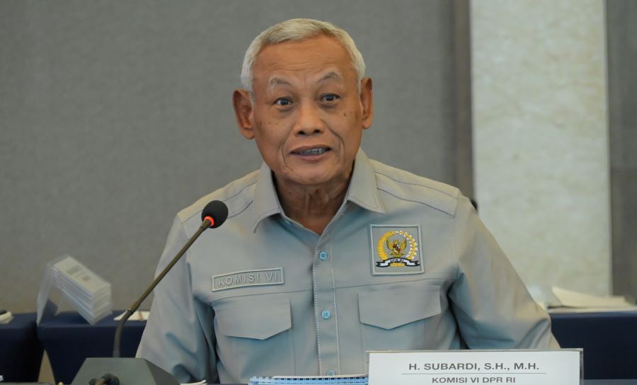 KEK Diharapkan Jadi Ekosistem Ekonomi Sekaligus Menjaga Lingkungan