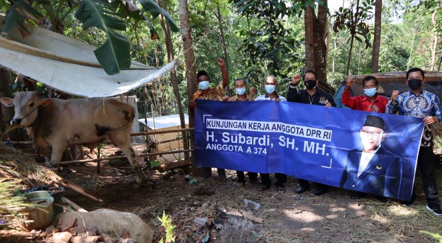 Subardi Serahkan 10 Ekor Sapi Kurban untuk Warga DIY