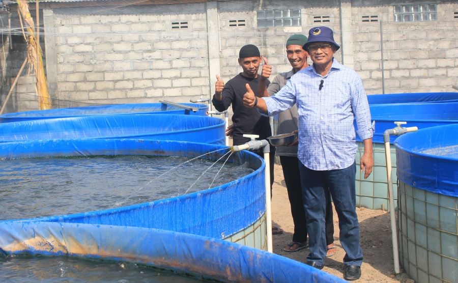 Peternak Lele Binaan Subardi Raup 7 Kuintal Tiap Panen