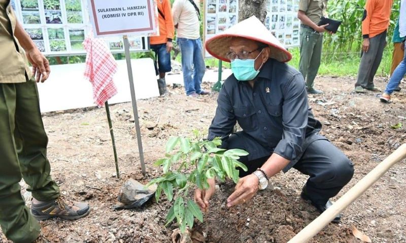 Balai Persemaian Bibit Lampung bisa Jadi Contoh Daerah Lain