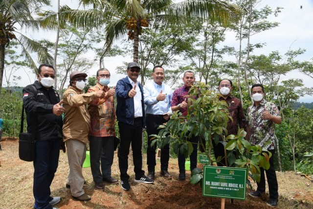 Terobosan, Rehabilitasi Hutan dengan Tanaman Buah