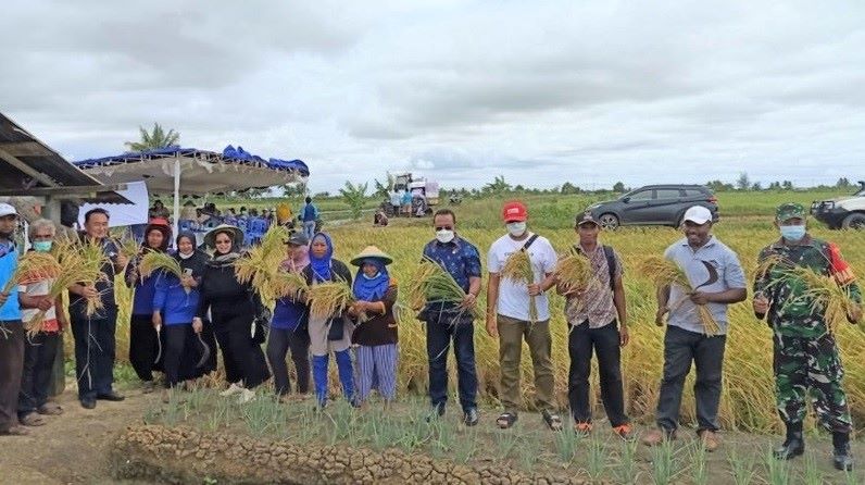 NasDem Optimistis Merauke Jadi Lumbung Pangan Nasional