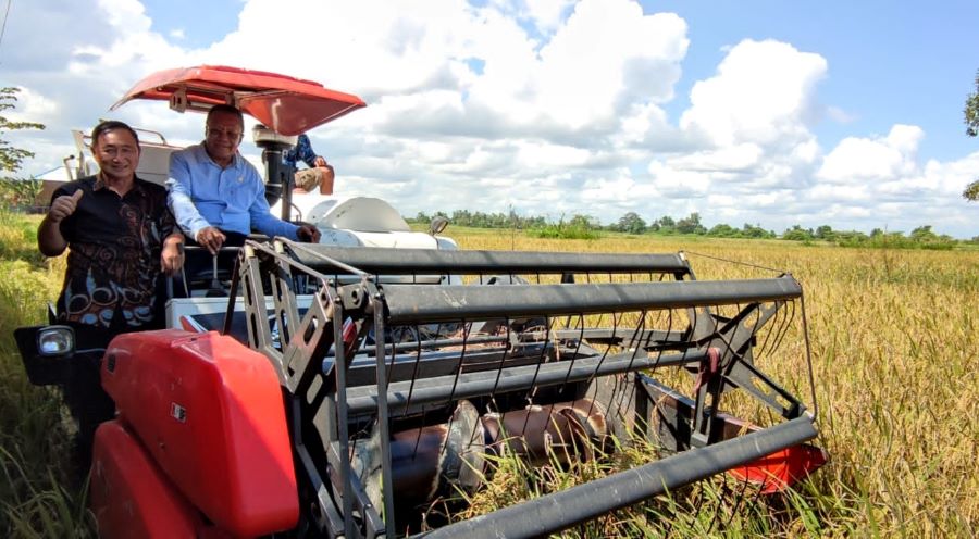 Sulaeman Ikut Panen Raya Padi di Merauke