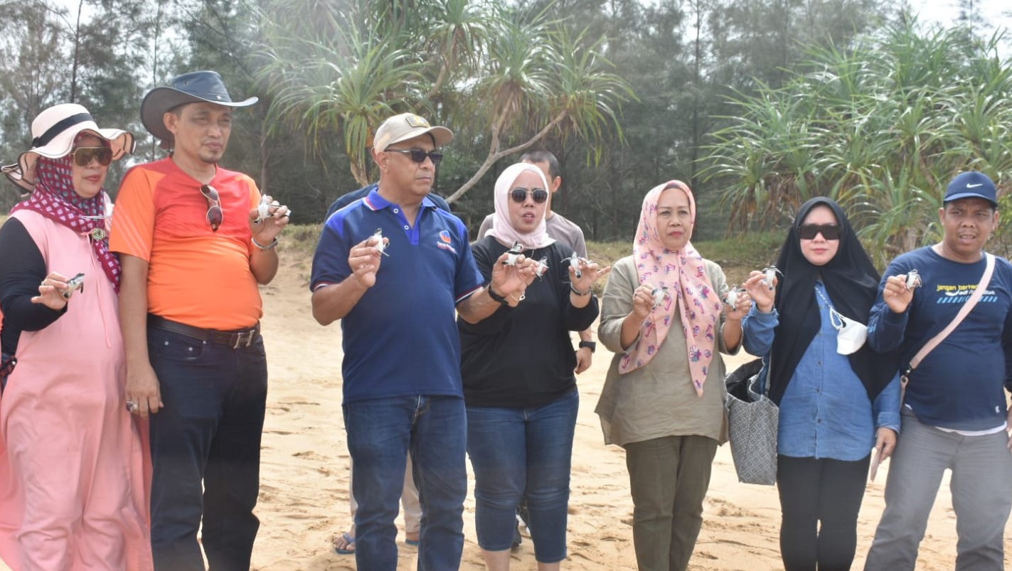 Syarief Lepas Tukik di Pantai Tanjung Api Sambas