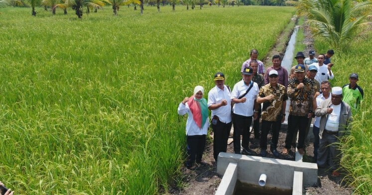 Syarif Realisasikan Program Saluran Irigasi, Pendapatan Petani Bisa Naik