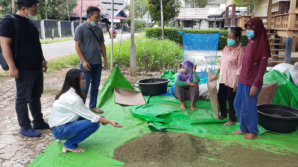 Bernilai Ekonomi Tinggi, Perlu Payung Hukum untuk Kratom