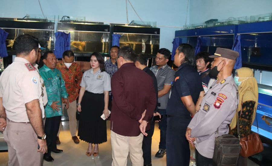 Yessy Harap Ikan Arwana Super Red Borneo tidak Punah