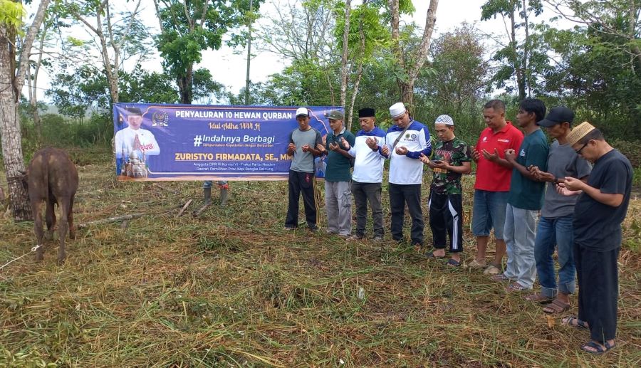 Zuristyo Salurkan 10 Sapi Kurban ke Bangka Belitung
